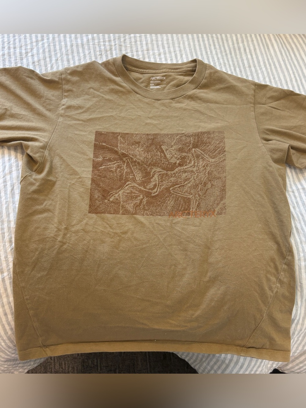 Arc'teryx Men's Olive Green Graphic Short-Sleeve Tee